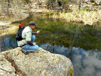 Searching for Guadalupe Bass in a Texas Hill Country Stream