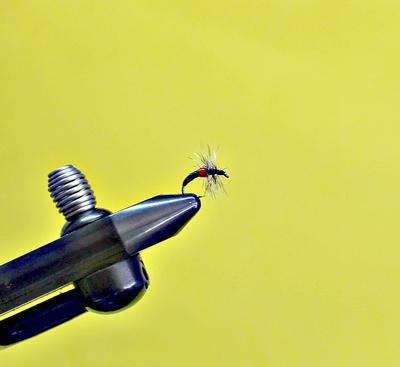 The hackle is palmered forward, and the fly is whip finished at the eye.