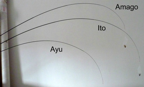 Ito at 14'7 Ito at 14'7