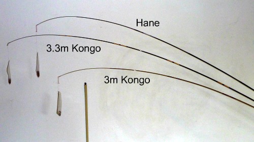 Kongo bend profile Kongo bend profile