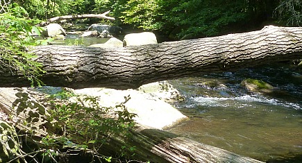 Kongo River Kongo River