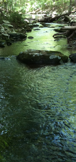 Small stream perfect for 9' Motsugo
