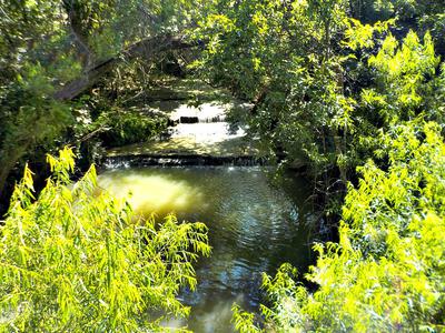 One of my favorite tenkara creeks runs beneath a foot bridge in an urban park.