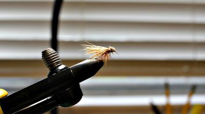 The Elk Hair Caddis is a proven dry fly.