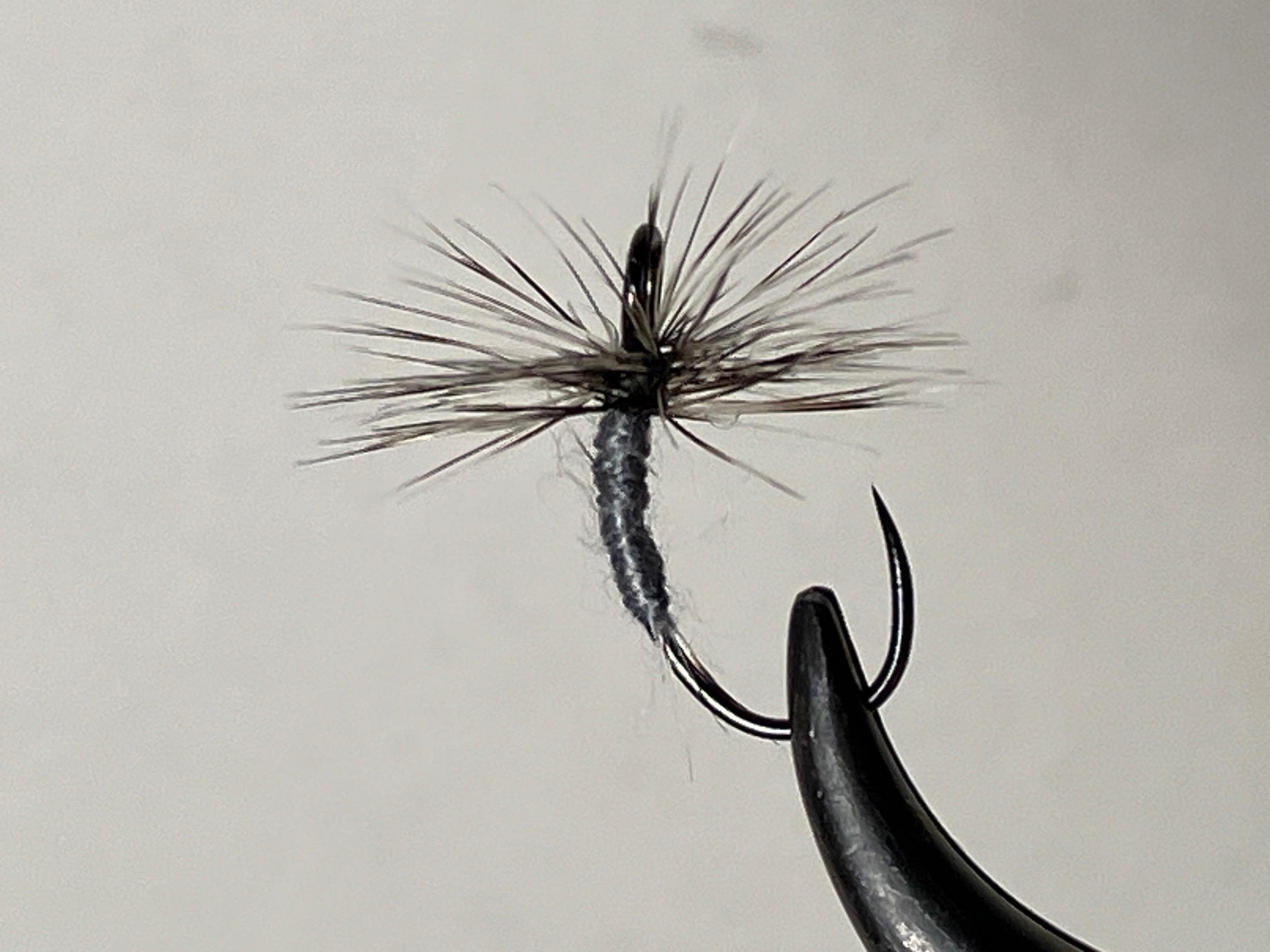 gray thread body grizzly hackle