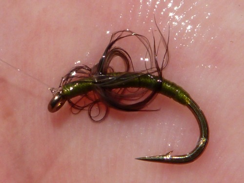 The 60's Rocker Sakasa Kebari, wet, and angler's palm. The wet hackle is wispy,