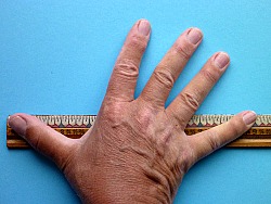 Hand with outstretched thumb and little finger against ruler for scale.