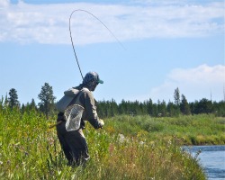 Angler holding tenkara rod with deep bend caused by large fish.