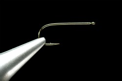 Daiichi 1110 hook