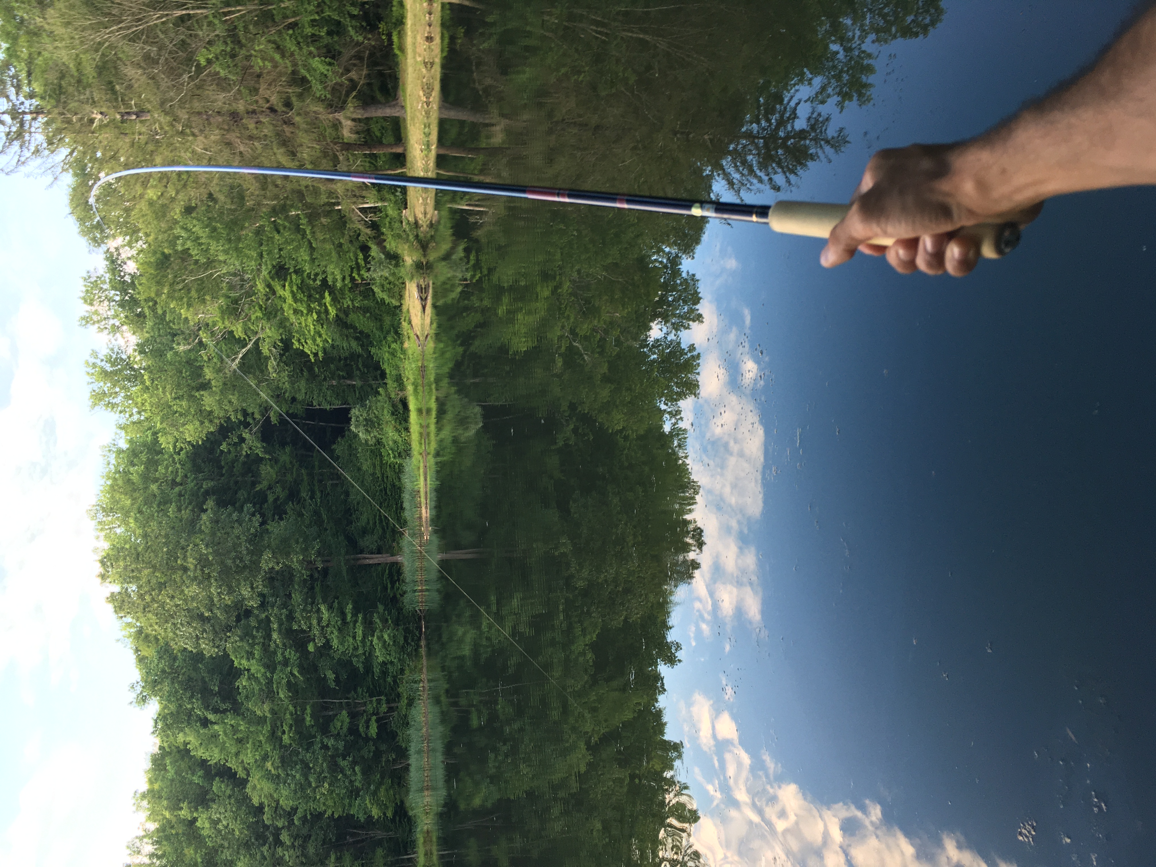 Fujiryu tenkara rod bend with pond in background