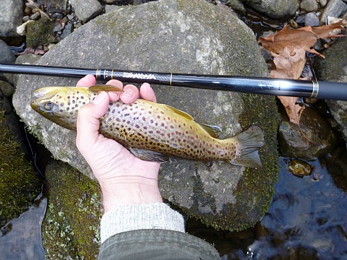 Tenkara Trip Reports