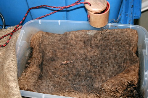 Worm bin with burlap cover