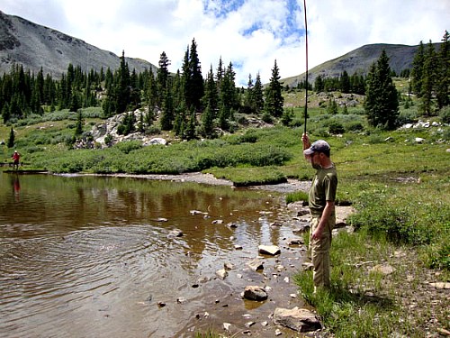 Angler with rod raised, bring in the fish.