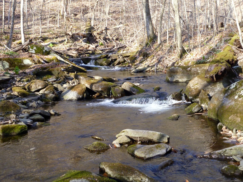 Small stream in the Catskills