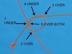 Close-up of arbor knot, labeled to show each step.