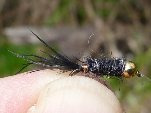 Bead head black Killer Bugger