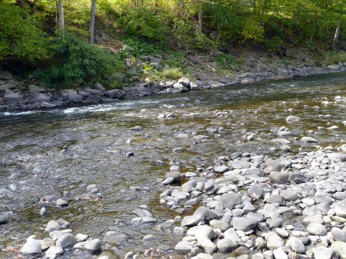 Slightly deeper water and more current along the far bank.