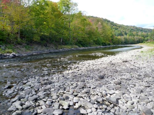 Beaverkill river at extremely low water level.