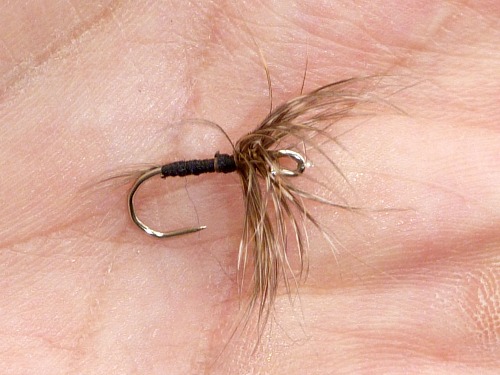 Somewhat disheveled fly tied on a bent pin