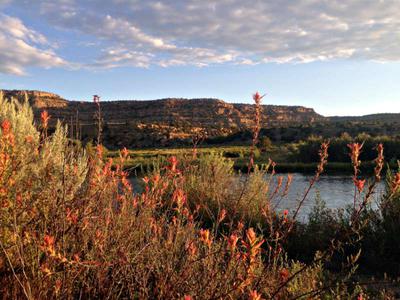 The San Juan River