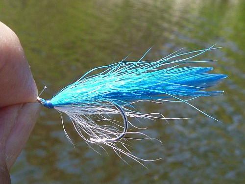 Lefty's Deceiver tied with blue bucktail and saddle hackle over white bucktail