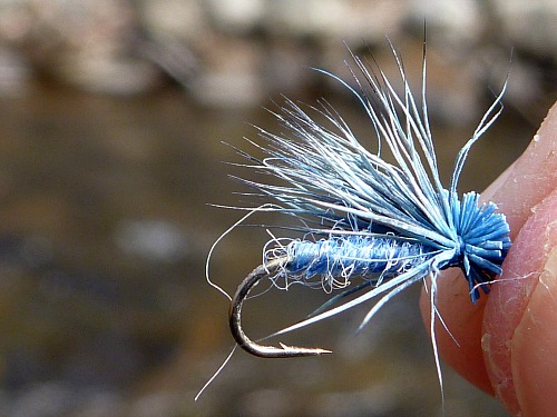Elk Hair Caddis fly tied with blue deer hair and blue yarn body