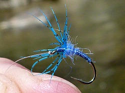 Wet fly tied with blue yarn body and blue silver pheasant hackle