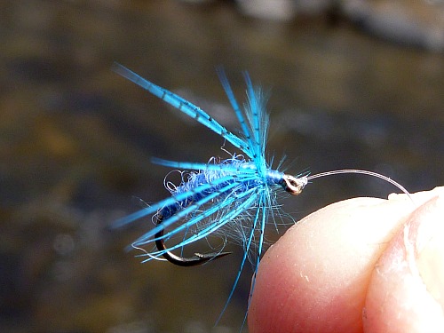 Wet fly with bright blue hackle and blue yarn body