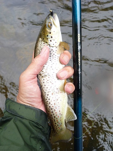 Angler holding brown trout with bead head Killer Bugger in its mouth.