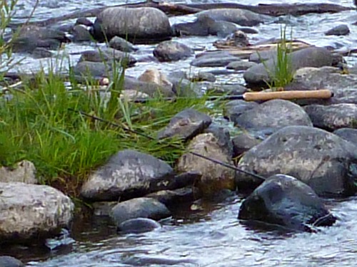 Discarded rod that had been broken by aggressive hook set