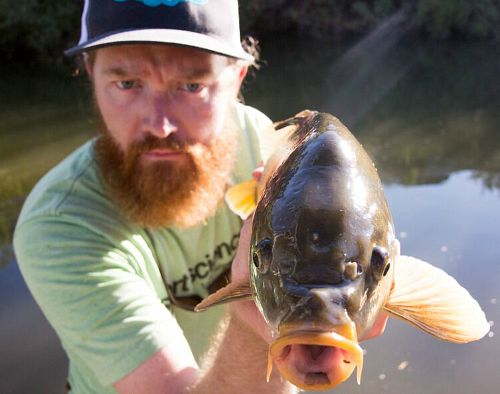 Erik O holding a carp for the camera