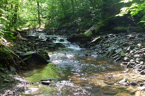Small stream with rocky banks