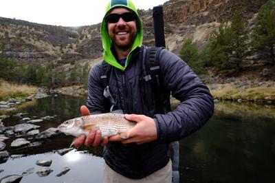 A good fat whitefish 