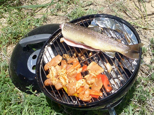 Fresh fish, chicken and veggies on the grill