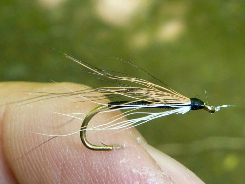 Minimal Dace fly