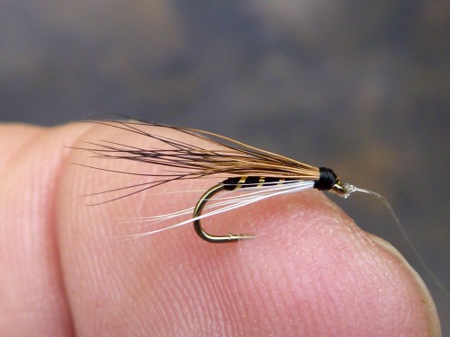 Minimal Dace fly prototype