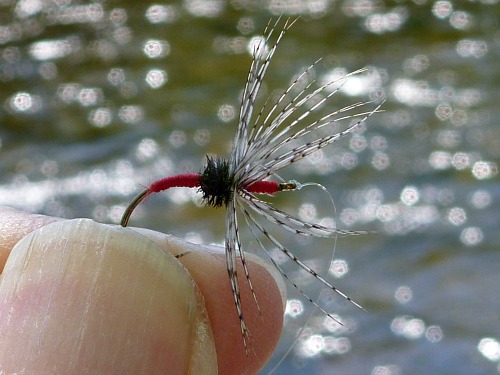 Finished fly held in fingers, with lake in background.