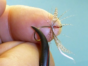 Pressing finger against hook shank to hold hackle in place.