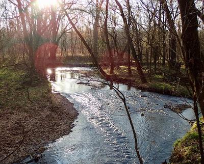 Crane Creek, MO