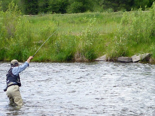 Oni again fishing downstream