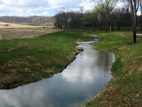 Gentle stream between farm field and woods.