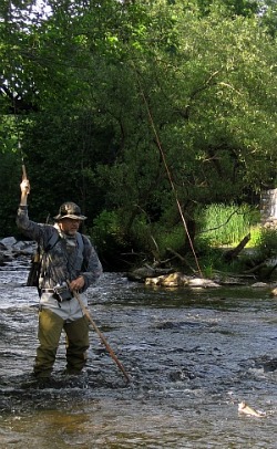 Angler in stream, rod held high, bring in trout. Bright line is easily visible.
