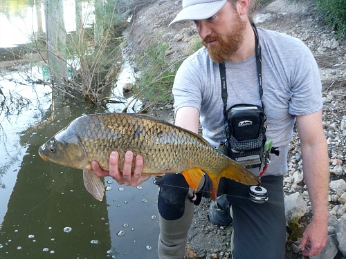 Erik Ostrander holding a carp