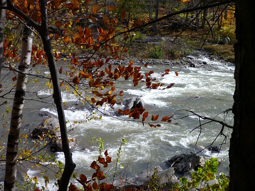 Rapids in stream showing pocket water behind rocks