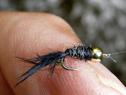 Size 20 black Killer Bugger with 3/32 inch bead head