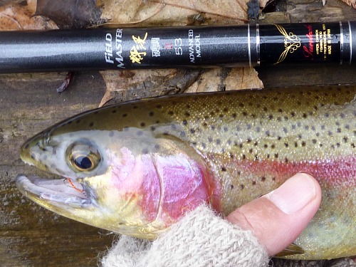 Trout with Keiryu rod