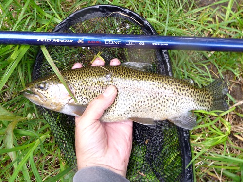 Large trout caught with FM Suguru Long