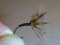 Angler holding finished fly