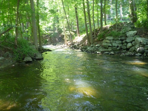 Small stream with high water.
