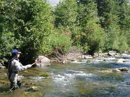 Misako Ishimura fishing in a small stream with a Tenryu Furaibo TF39 tenkara rod